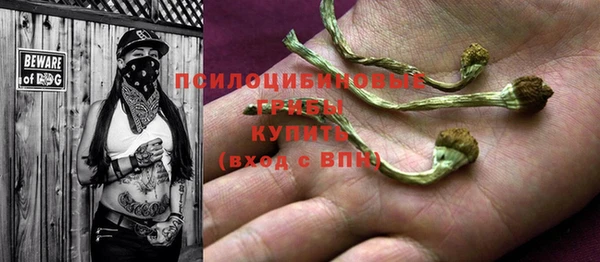 таблы Надым