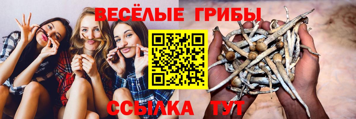 Галлюциногенные грибы прущие грибы Улан-Удэ